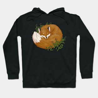 Sleeping red fox Hoodie